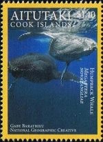 [Pacific Marine Life - Marae Moana, type XT]
