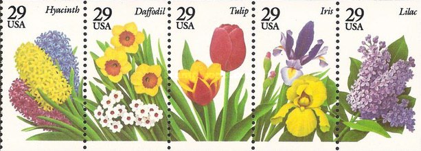 [Garden Flowers, type ]