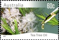 [Native Plants, type DNI]
