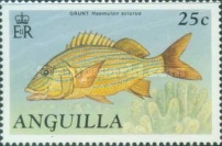 [Fish, type ADV]