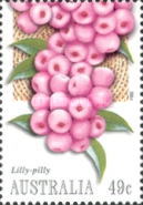 [Bush Tucker, type CBT]