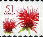 [Flowers - Self-Adhesive, type CJP]