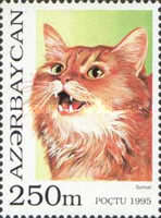 [Cats, type GP]