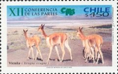 [The 12th Convention on International Trade in Endangered Species Conference, Santiago, Chile, type BQO]