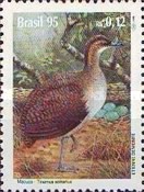 [Birds, type CVM]