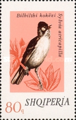 [Songbirds, type XKL]