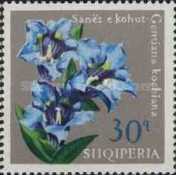 [Flowers, type XMN]