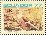 [Birds of the Galapagos Islands, type BLV]