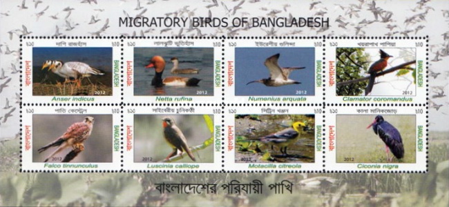 [Migratory Birds of Bangladesh, type ]