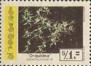 [Flowers, type BJE]