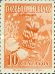 [Bananas, type ACQ]