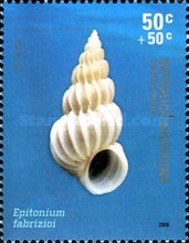 [Mollusk Shells, type DHH]