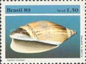 [Molluscs, type CIZ]