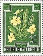 [Flowers - Charity Stamps, type ON]