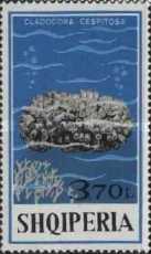[Corals, type XOG]