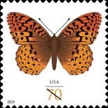 [Butterflies - The Great Spangled Fritillary, type GLH]