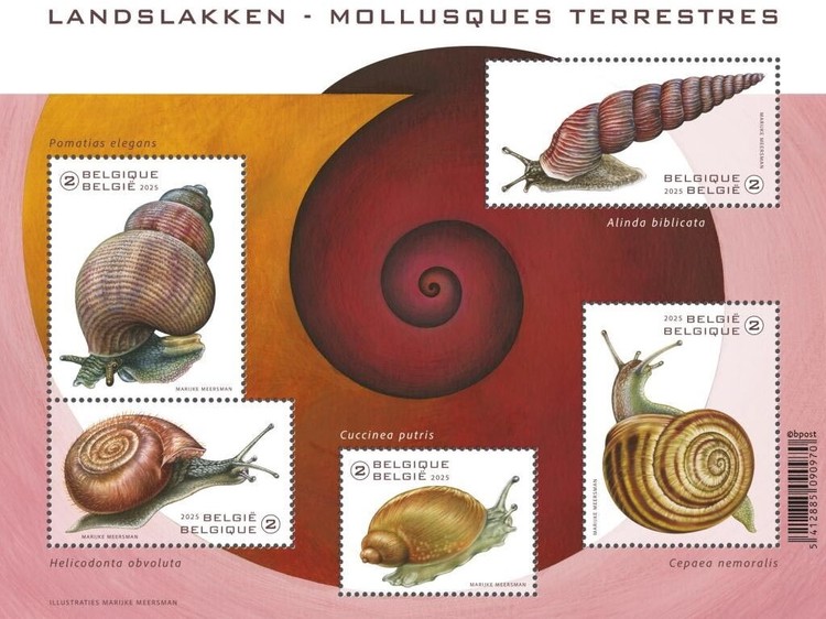 [Land Molluscs, type ]