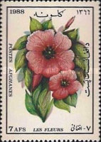 [Flora - Flowering Plants, type AHY]