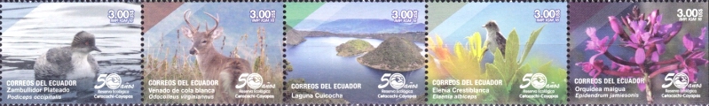 [The 50th Anniversary of the Cotacachi Cayapas Ecological Reserve, type ]