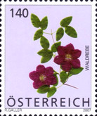 [Flowers, type CMS]