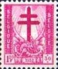 [The struggle against Tuberculosis, type QH5]