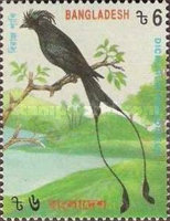 [Birds, type PM]