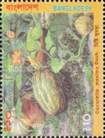 [Vegetables, type QR]