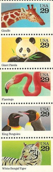 [Wild Animals, type ]