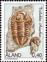 [Fossils, type DH]