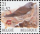 [Birds, type CKI]