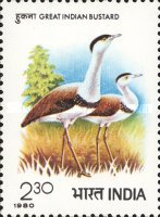 [International Symposium on Bustards, Juipur, type YP]
