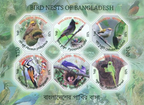 [Fauna - Birds Nests, type ]