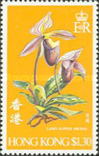 [Orchids, type FN]
