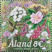 [Flowers of the Islet, type UZ]