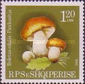 [Mushrooms, type BNB]