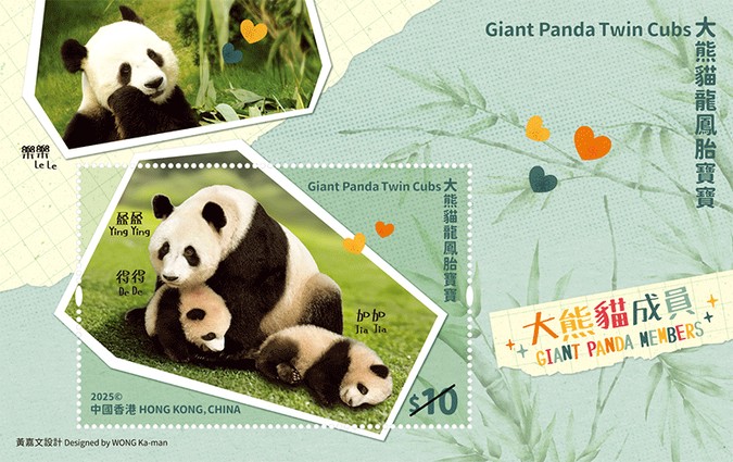 [Giant Panda Twin Cubs, type ]