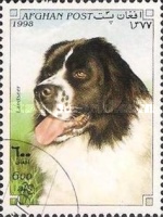 [Dogs, type AOZ]