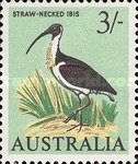 [Birds, type HI]