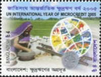 [United Nations International Year of Microcredit, type ADJ]