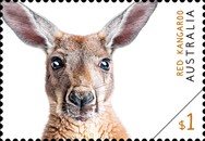 [Australian Fauna, type EQE]
