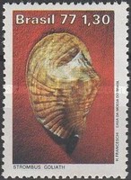 [Brazilian Molluscs, type BHM]