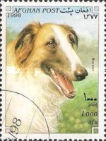 [Dogs, type APB]