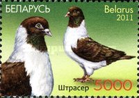 [Birds - Pigeons, type AER]