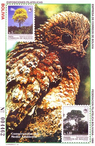 [Environmental Protection, Trees, type ]