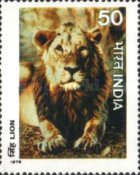 [Indian Wildlife, type ST]