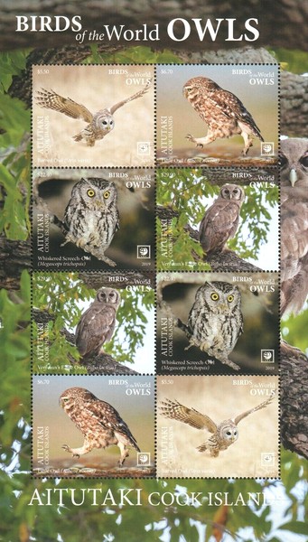 [Birds of the World - Owls - Without Frame, type ]