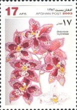 [Flowers - Orchids, type AWD]