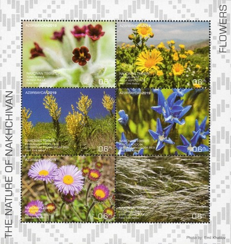 [Nakhichevan Nature - Flowers, type ]