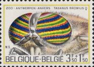 [Antwerp Zoo - Insects, type AOD]
