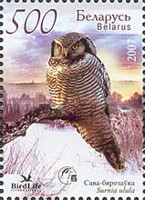 [Owls of Belarus, type WV]